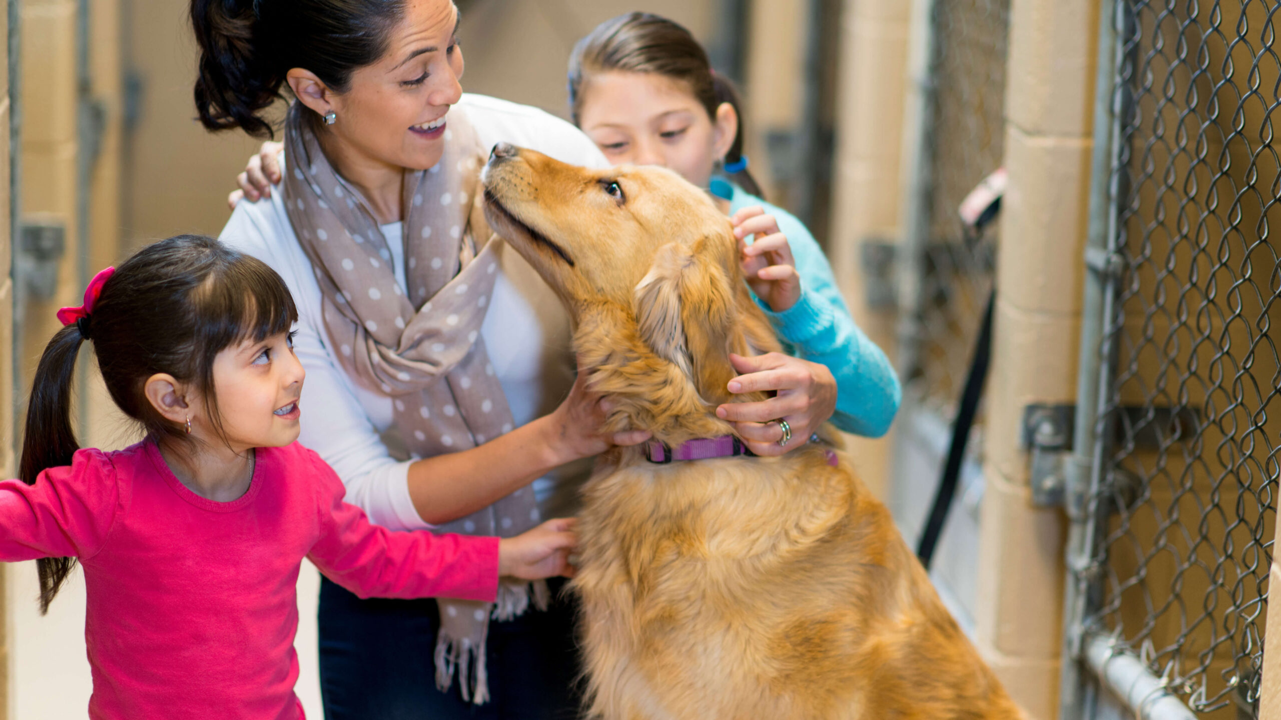 Pet Boarding - A Trusted Home Away from Home