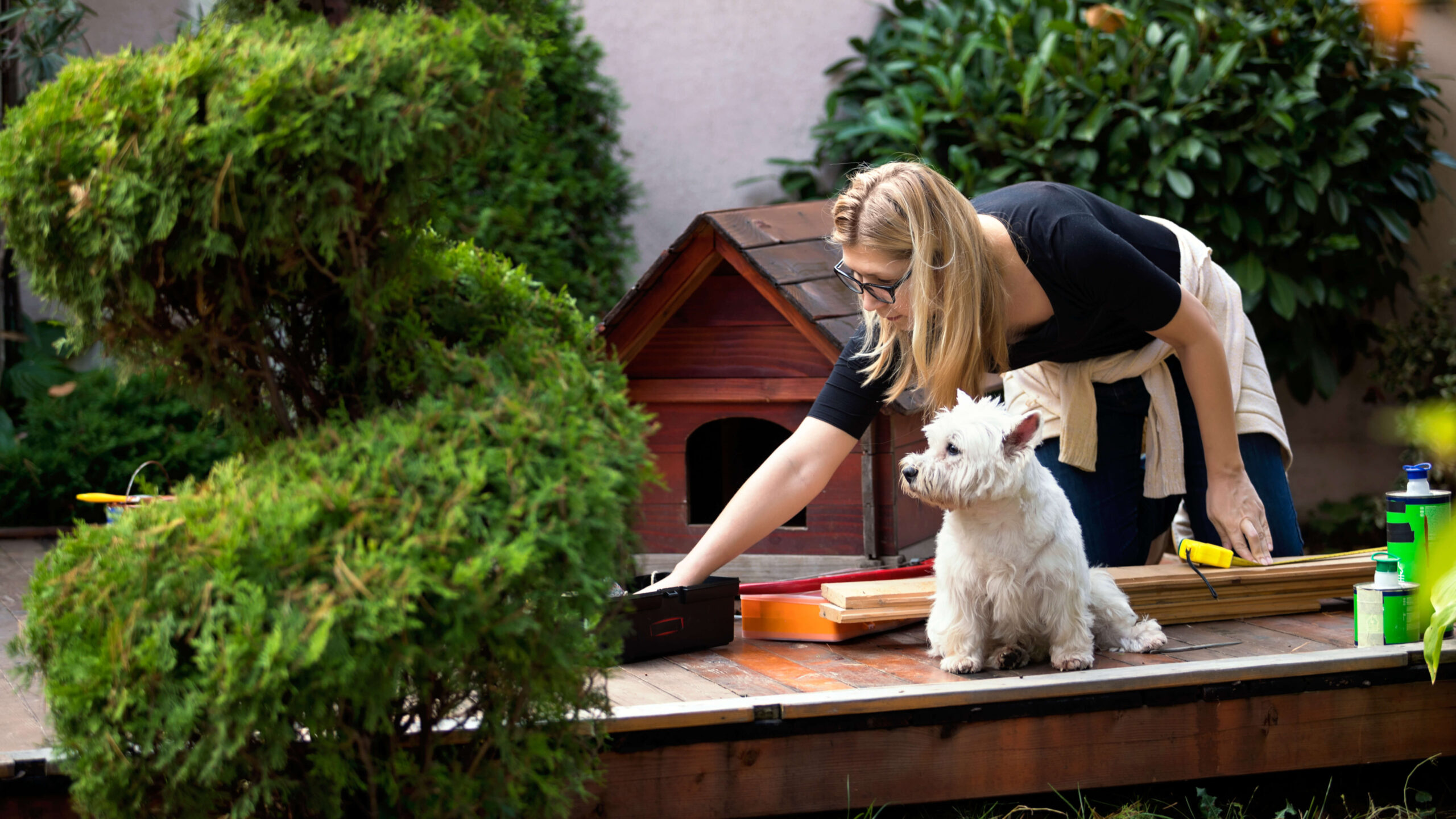 House Sitting - Comfort & Care in Your Canadian Home